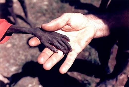 
	
	Tấm ảnh này được chụp tại Uganda năm 1980 trong trận đói lịch sử nơi đây đã làm thế giới phải 'rúng động'. Thay cho những câu chữ, bức hình đã nói lên tất cả về sự kinh hoàng của trận đói này.